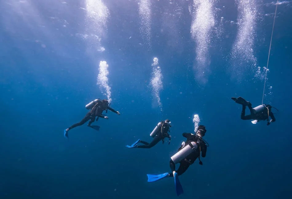 When is the Best Time to Dive in the Galapagos?