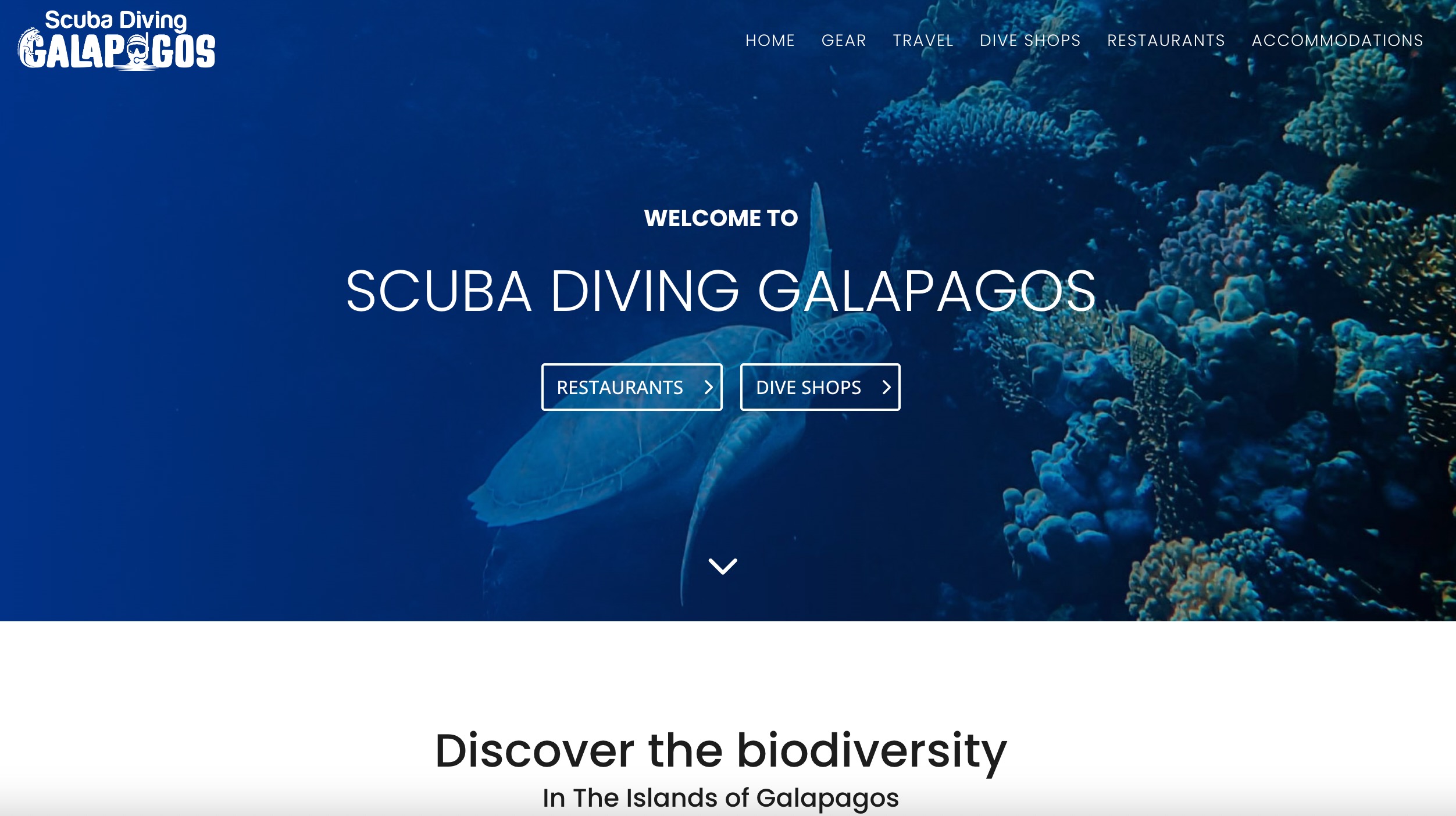 Scuba Diving Galapagos dive trip planning and vacation planning for scuba divers.